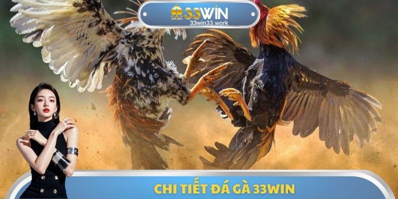Chi tiết đá gà 33WIN
