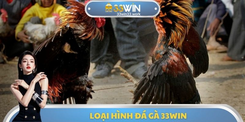 Loại hình đá gà 33WIN
