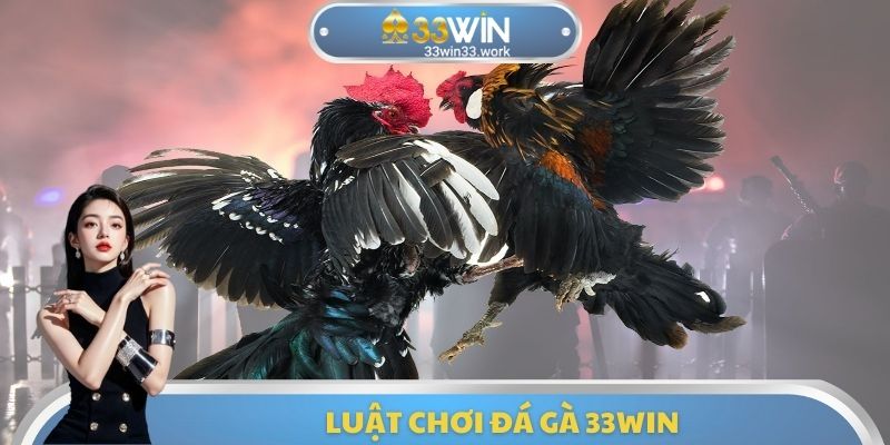 Luật chơi đá gà 33WIN