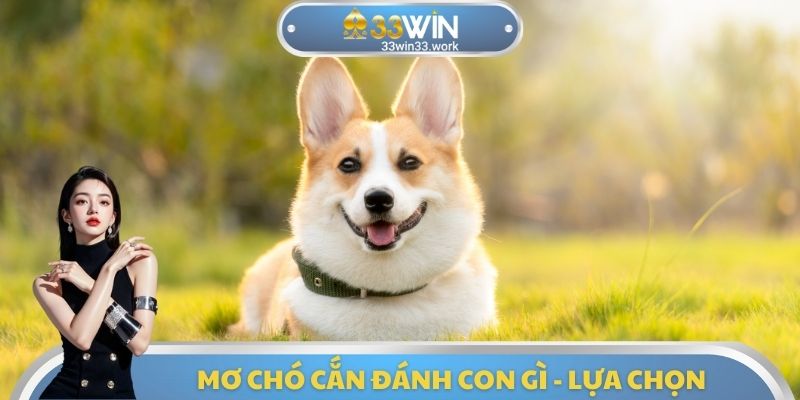 Mơ chó cắn đánh con gì - Lựa chọn