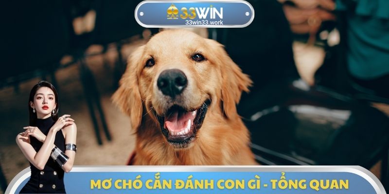 Mơ chó cắn đánh con gì - Tổng quan