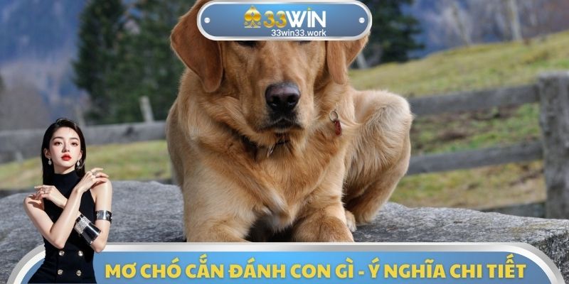 Mơ chó cắn đánh con gì - Ý nghĩa chi tiết