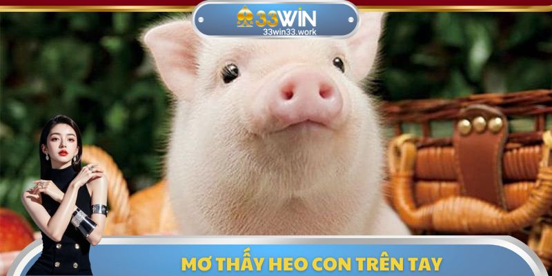 Nằm mơ thấy heo con trên tay mang đến rất nhiều ý nghĩa