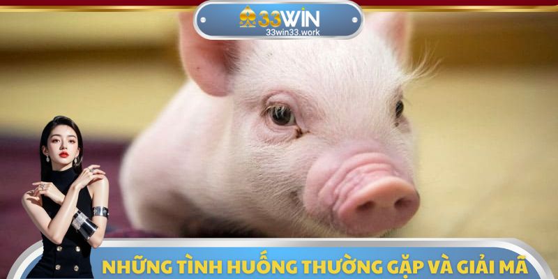 Một vài tính huống nằm mơ thấy heo con đánh số gì phổ biến