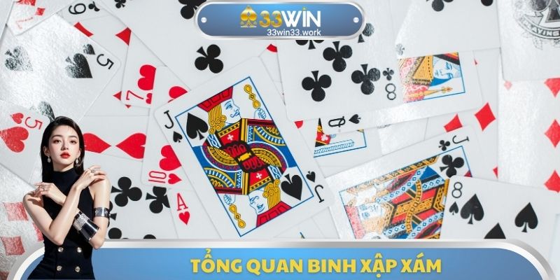 Tổng quan Binh xập xám